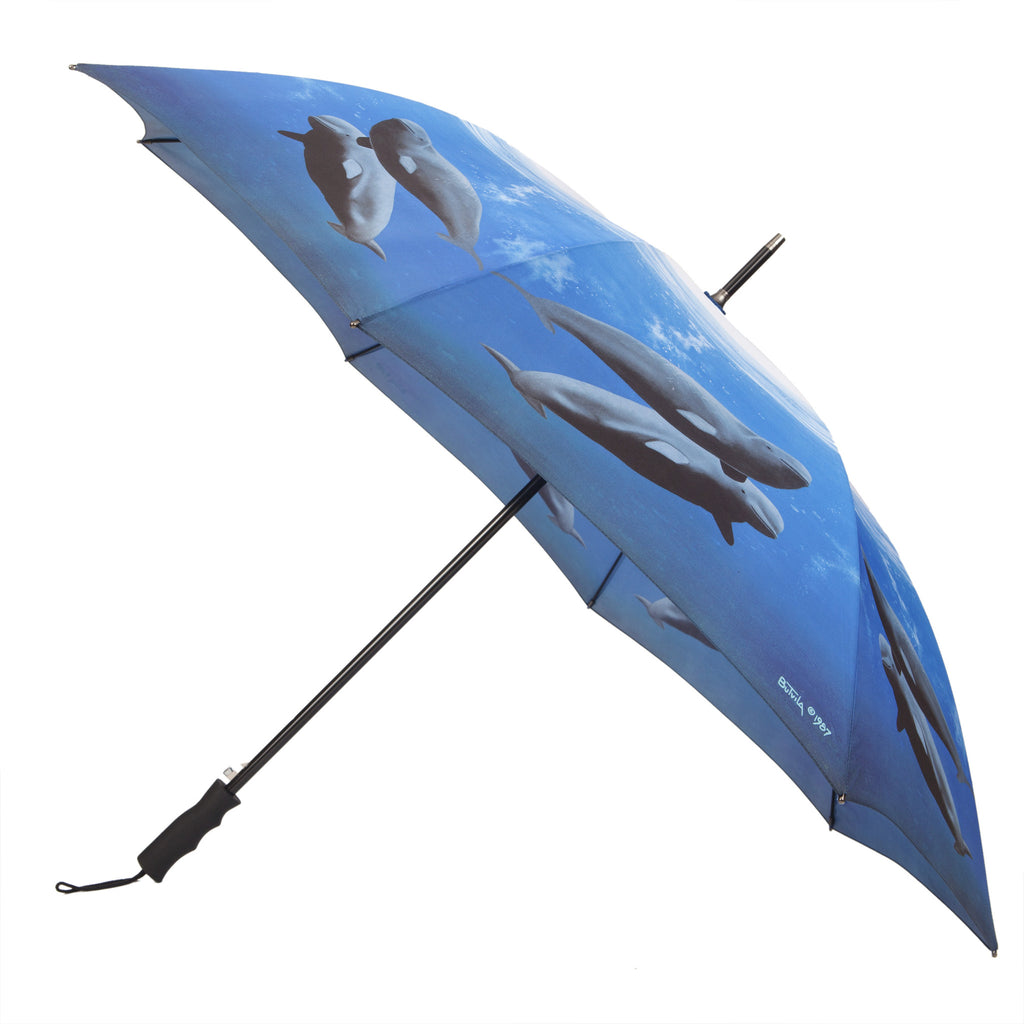 Printing on Umbrellas - Sublimation Printing