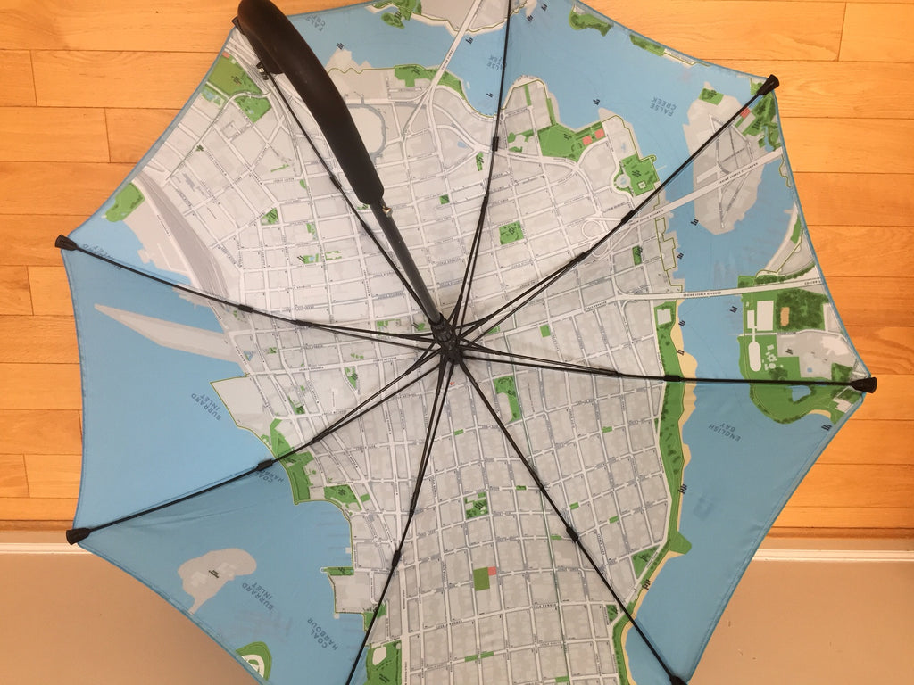 Map on Inside of Umbrella